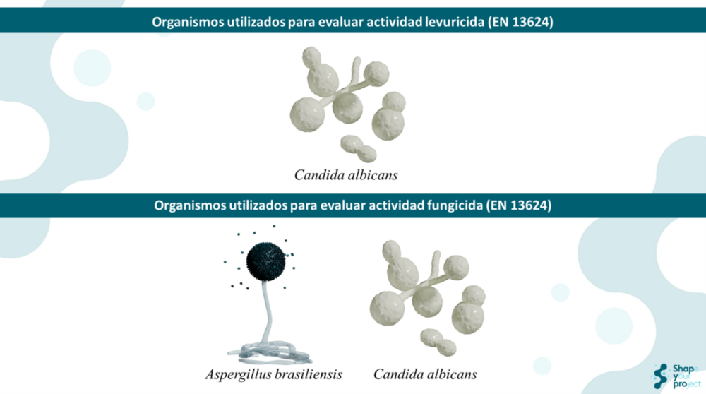 Ensayo de aptitud 2025 para Candida albicans