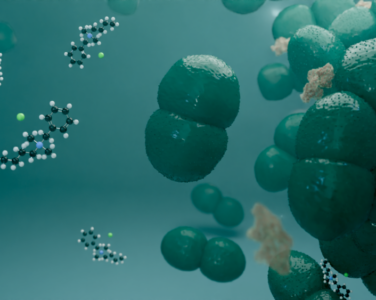 Ensayo de aptitud 2025 para Enterococcus hirae según EN 13727:2012+A2: 2015