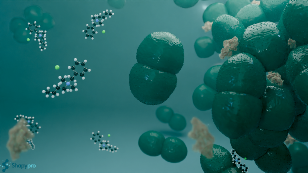 Ensayo de aptitud 2025 para Enterococcus hirae según EN 13727:2012+A2: 2015