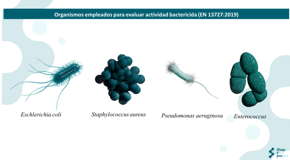 Ensayo de aptitud 2025 para Enterococcus hirae según EN 13727:2012+A2: 2015