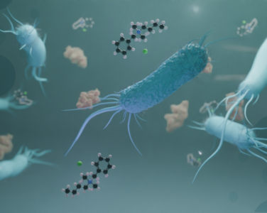 Proficiency Testing 2025 for Pseudomonas aeruginosa under EN 1276:2020