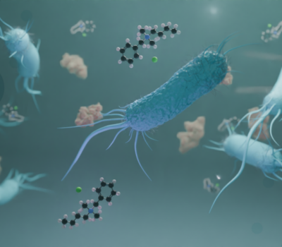 Proficiency Testing 2025 for Pseudomonas aeruginosa under EN 1276:2020