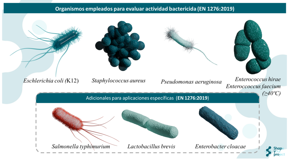 Ensayo de aptitud 2025 para Pseudomonas aeruginosa bajo norma EN 1276:2020