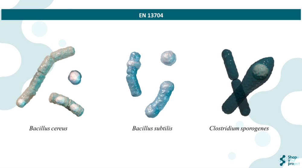 2025 Ensayo de aptitud para Bacillus subtilis según la norma EN 13704:2019