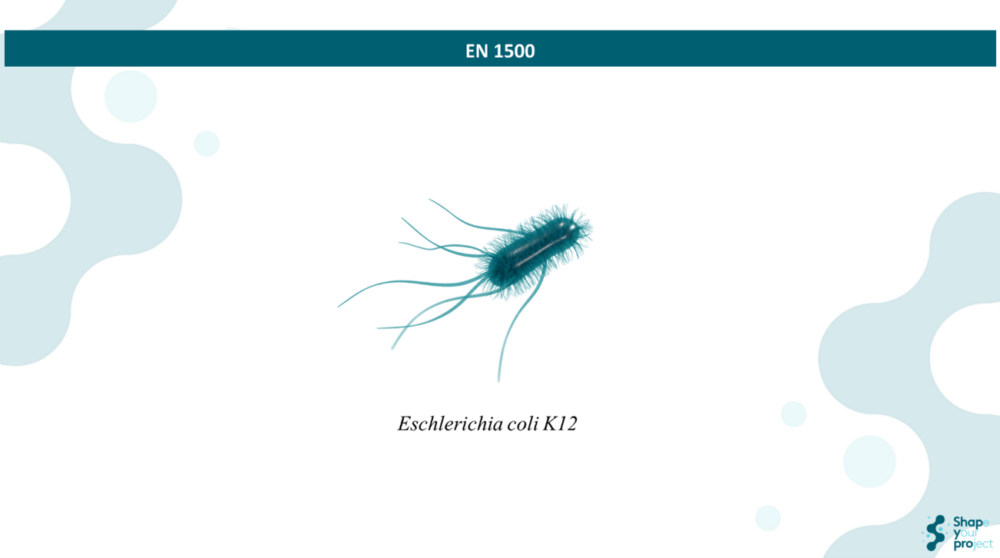 Ensayo de aptitud 2025 para Escherichia coli K12 según EN 1500:2013