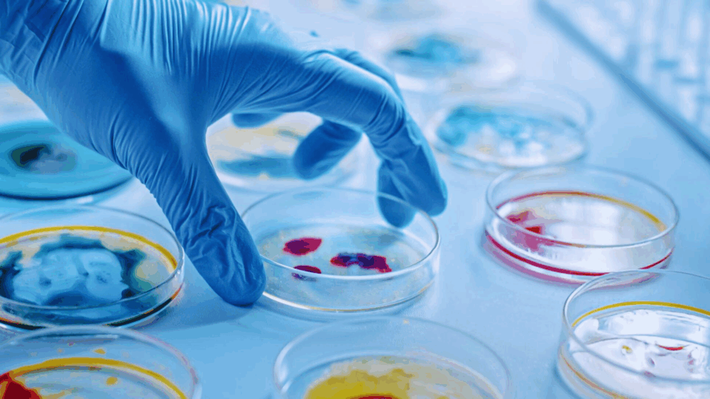 Challenge Test en Cosméticos: Eficacia de Conservantes y Cumplimiento Normativo