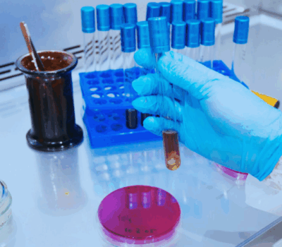 Microbiological Control in Cosmetics: ISO Standards and Safety