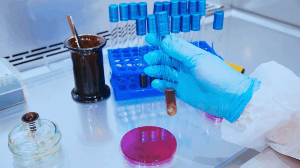 Microbiological Control in Cosmetics: ISO Standards and Safety