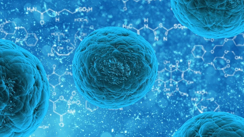 Microbiological Control in Cosmetics: ISO Standards and Safety