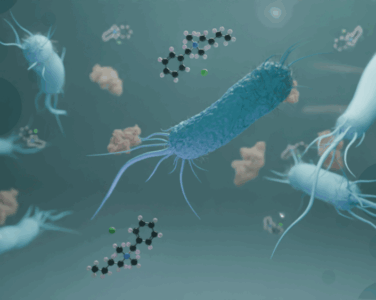 EN 1276: Ensayo De Suspensión Cuantitativa Para Evaluar La Actividad Bactericida De Desinfectantes