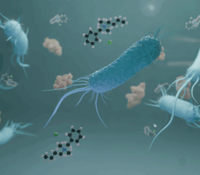 EN 1276: Quantitative Suspension Test To Evaluate The Bactericidal Activity Of Disinfectants