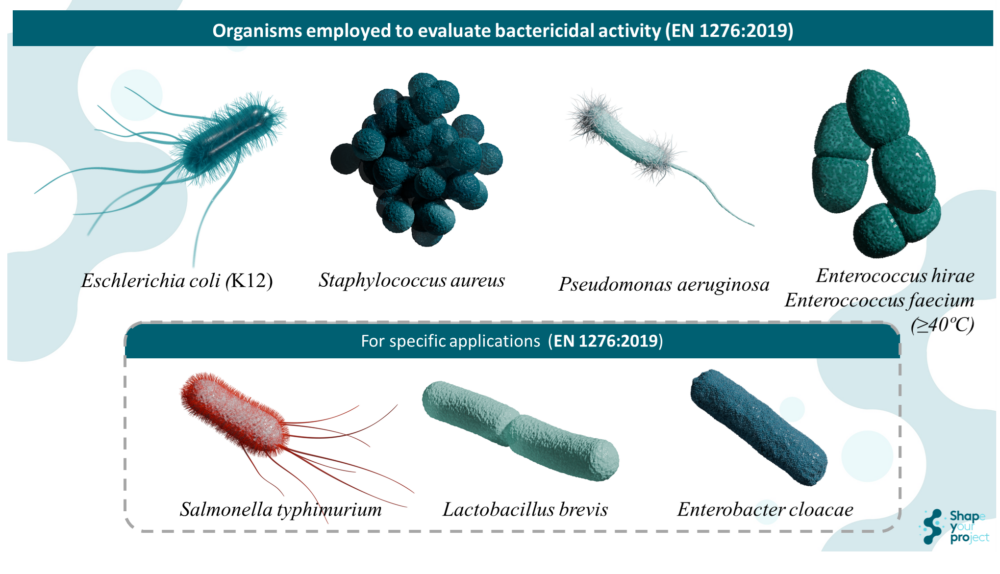 EN 1276: Quantitative Suspension Test To Evaluate The Bactericidal Activity Of Disinfectants