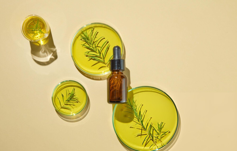 SCCS Evaluation Of Tea Tree Oil: Toxicological And Regulatory Implications For The Cosmetics Industry