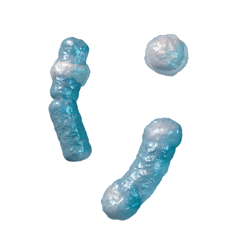 EN 13704: Use of Bacillus Subtilis