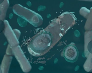 EN 13704: Evaluation Of The Sporocidal Activity Of Chemical Disinfectants Under Controlled Conditions