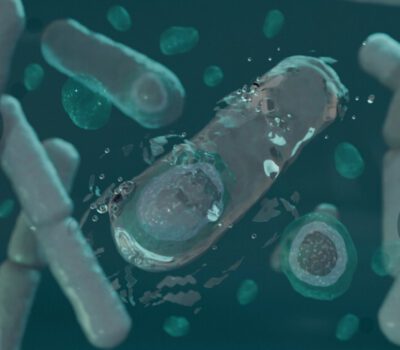 EN 13704: Evaluation Of The Sporocidal Activity Of Chemical Disinfectants Under Controlled Conditions