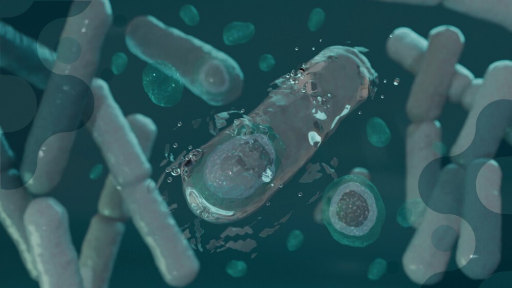 EN 13704: Evaluation Of The Sporocidal Activity Of Chemical Disinfectants Under Controlled Conditions