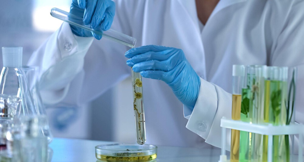 La regulación cosmética 2025 en la UE La regulación cosmética 2025 en la UE