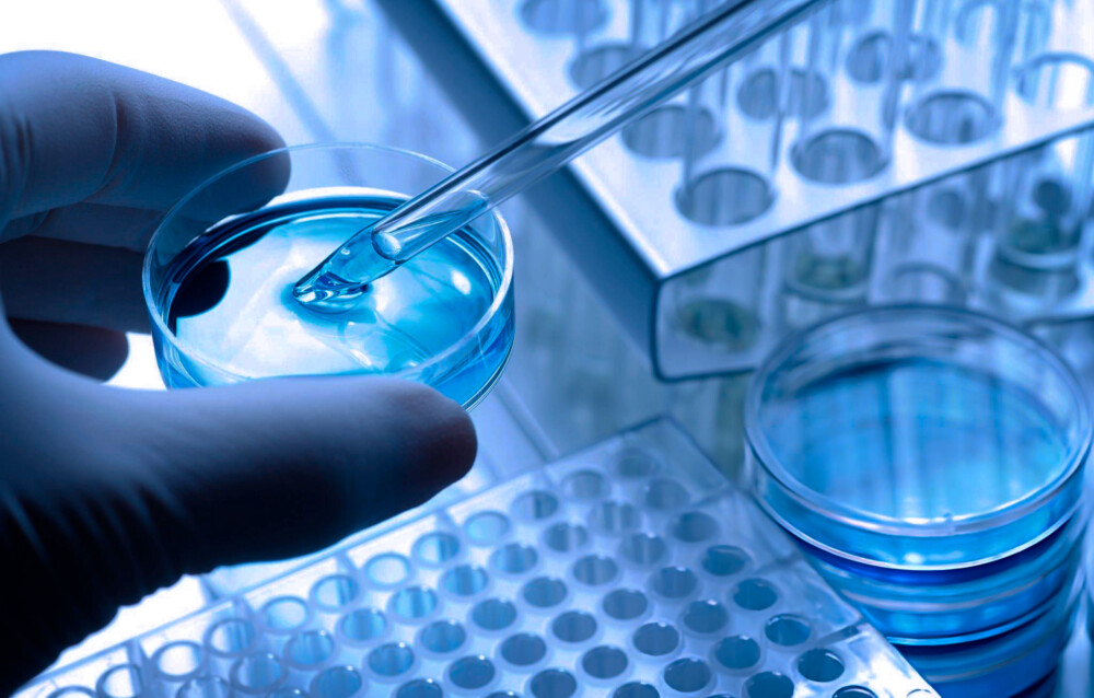 Safety Evaluation In Cosmetic Products: How Safety Testing Works And Why It Is Essential For The Industry