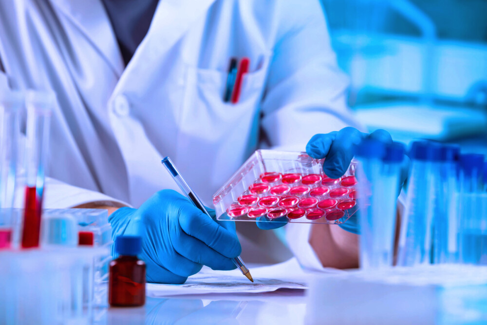 EN 1275: Quantitative Suspension Test For Fungicidal And Yeasticidal Activity