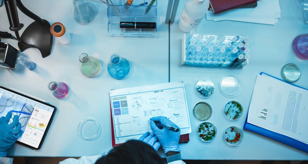 Persona Responsable en la UE: obligaciones legales y riesgos según el Reglamento 1223/2009