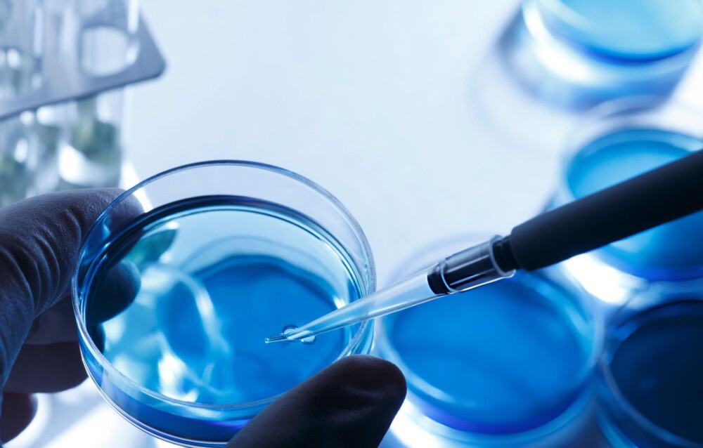 EN 13704: cómo el efecto bacteriostático puede afectar al ensayo
