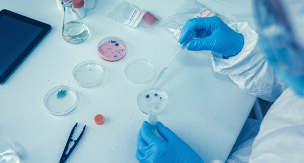 ISO 17516 and microbiological control in cosmetic products