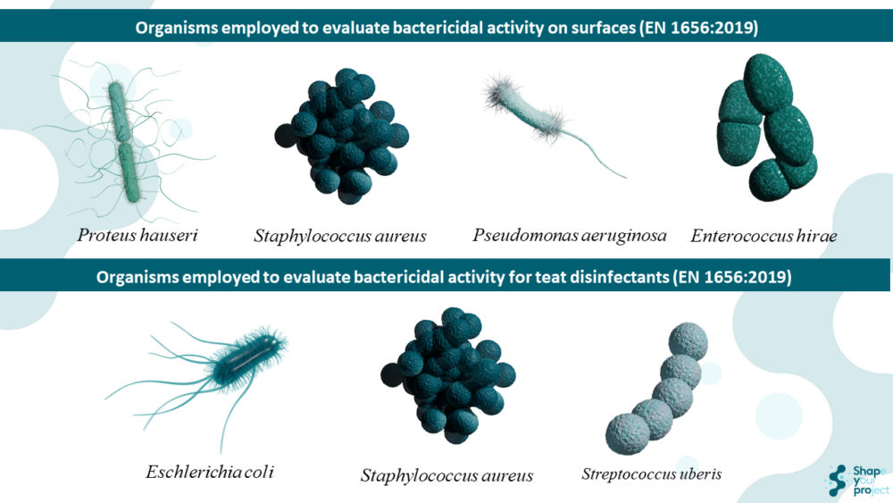 EN 1656 test for evaluating bactericidal activity of veterinary disinfectants