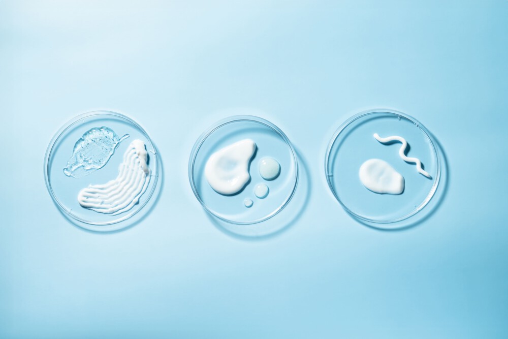 ISO 11930 Challenge Test In Cosmetics: How To Evaluate Antimicrobial Protection